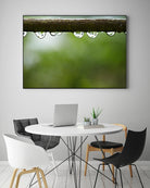 Drops of water II by Peter Morneau on GIANT ART - brown photo art