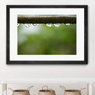 Drops of water II by Peter Morneau on GIANT ART - brown photo art