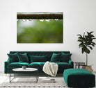 Drops of water II by Peter Morneau on GIANT ART - brown photo art