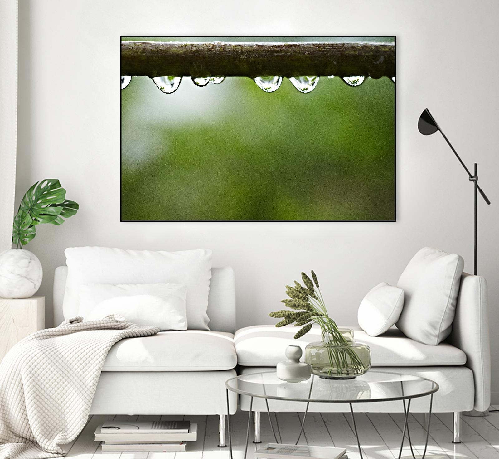 Drops of water II by Peter Morneau on GIANT ART - brown photo art