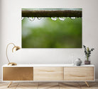 Drops of water II by Peter Morneau on GIANT ART - brown photo art