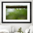 Drops of water II by Peter Morneau on GIANT ART - brown photo art