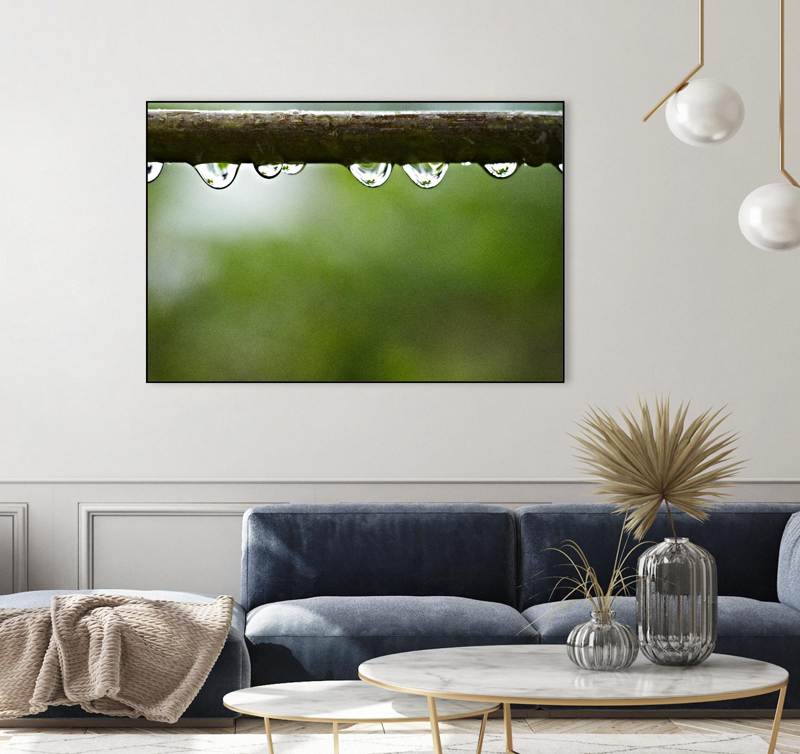 Drops of water II by Peter Morneau on GIANT ART - brown photo art