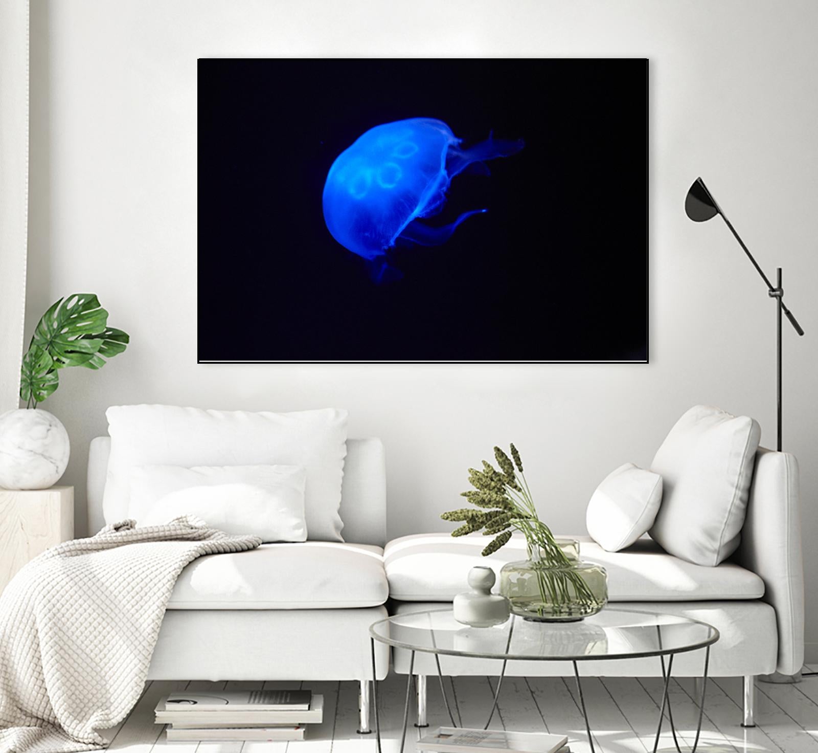 Blue and black II by Peter Morneau on GIANT ART - black photo art