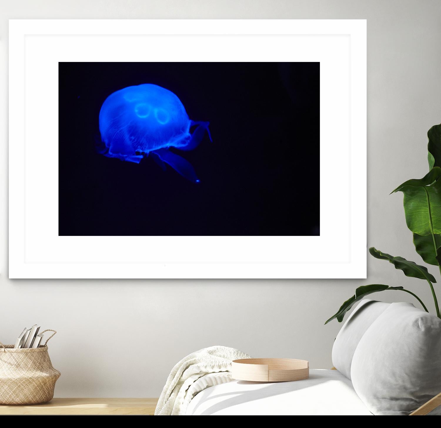 Blue and black III by Peter Morneau on GIANT ART - black photo art