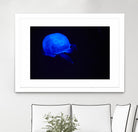 Blue and black III by Peter Morneau on GIANT ART - black photo art
