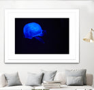 Blue and black III by Peter Morneau on GIANT ART - black photo art