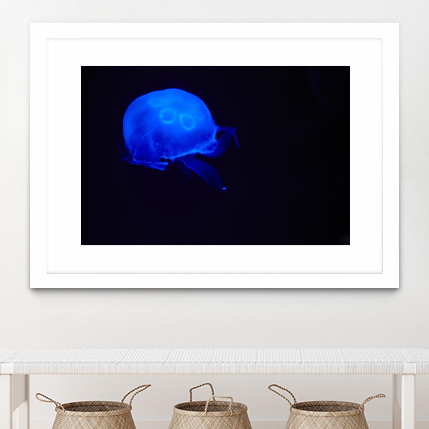 Blue and black III by Peter Morneau on GIANT ART - black photo art