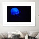 Blue and black III by Peter Morneau on GIANT ART - black photo art