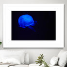 Blue and black III by Peter Morneau on GIANT ART - black photo art