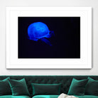 Blue and black III by Peter Morneau on GIANT ART - black photo art