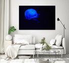 Blue and black III by Peter Morneau on GIANT ART - black photo art