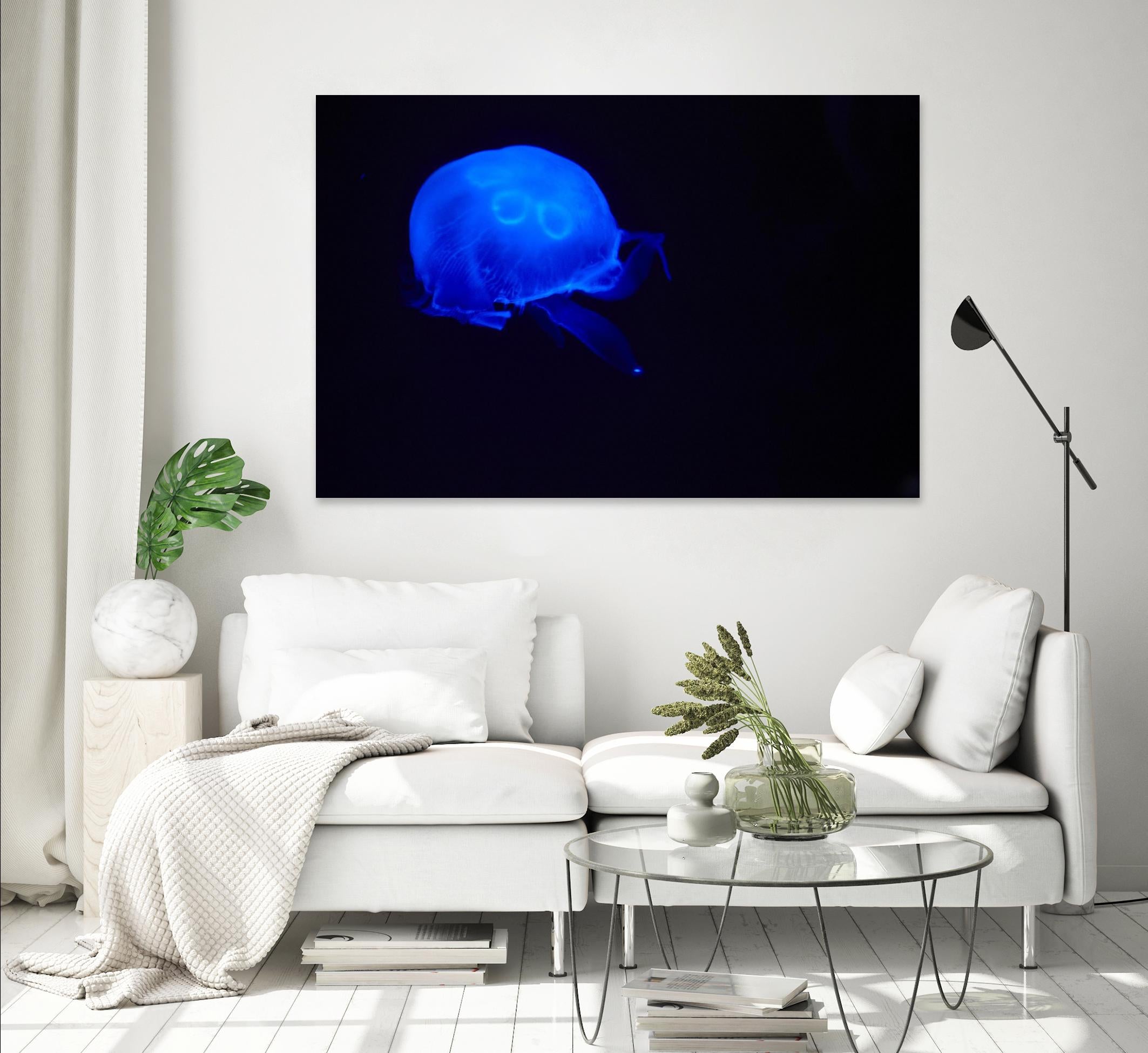 Blue and black III by Peter Morneau on GIANT ART - black photo art