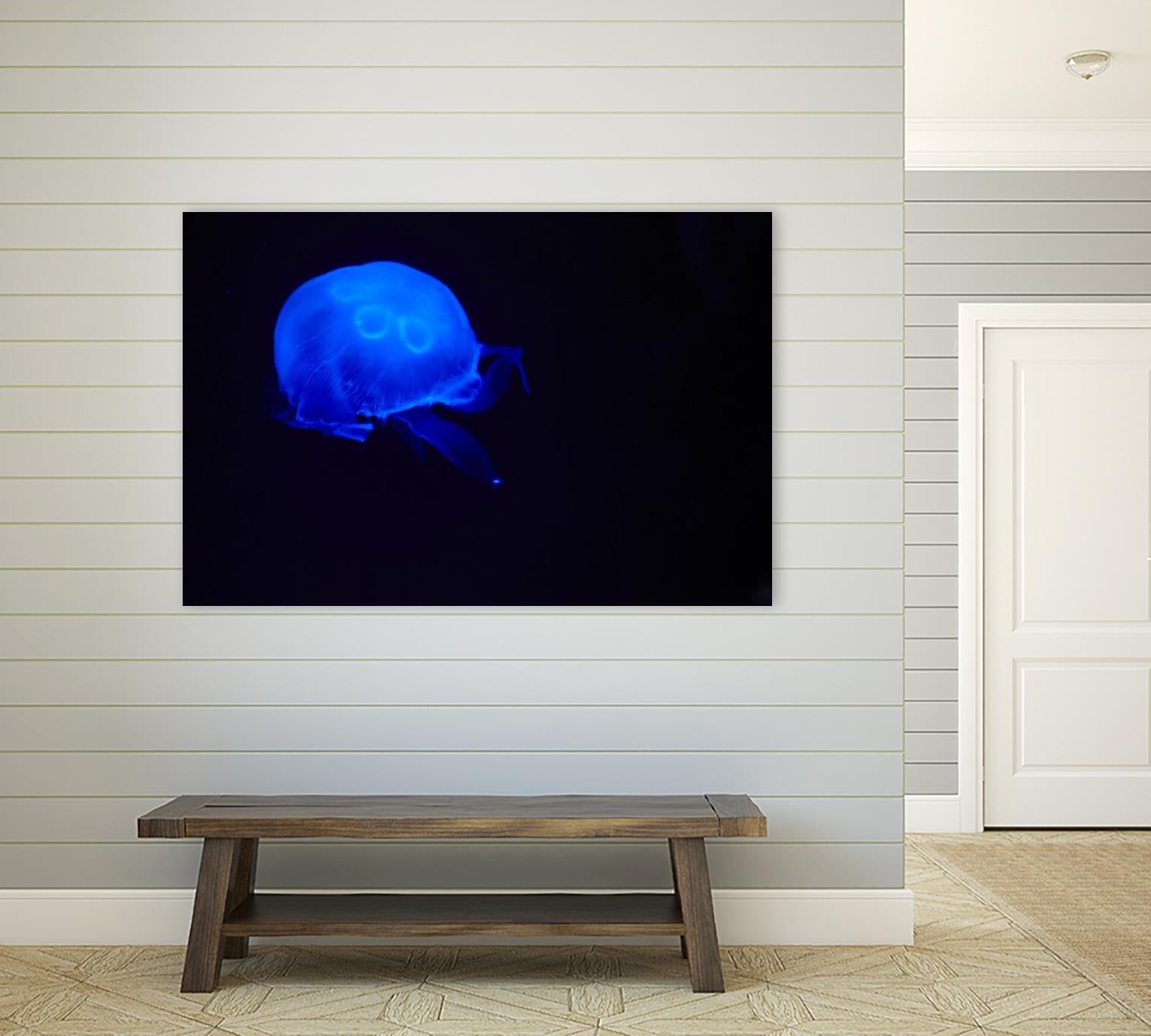 Blue and black III by Peter Morneau on GIANT ART - black photo art