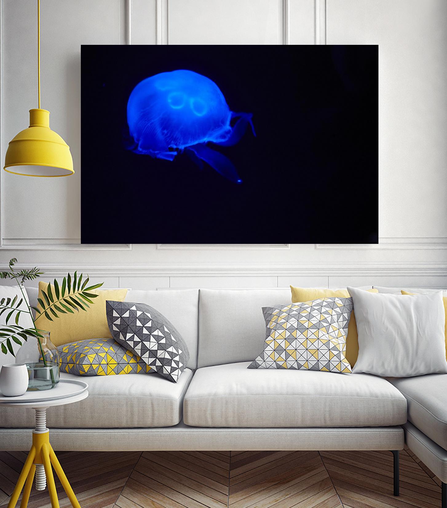 Blue and black III by Peter Morneau on GIANT ART - black photo art