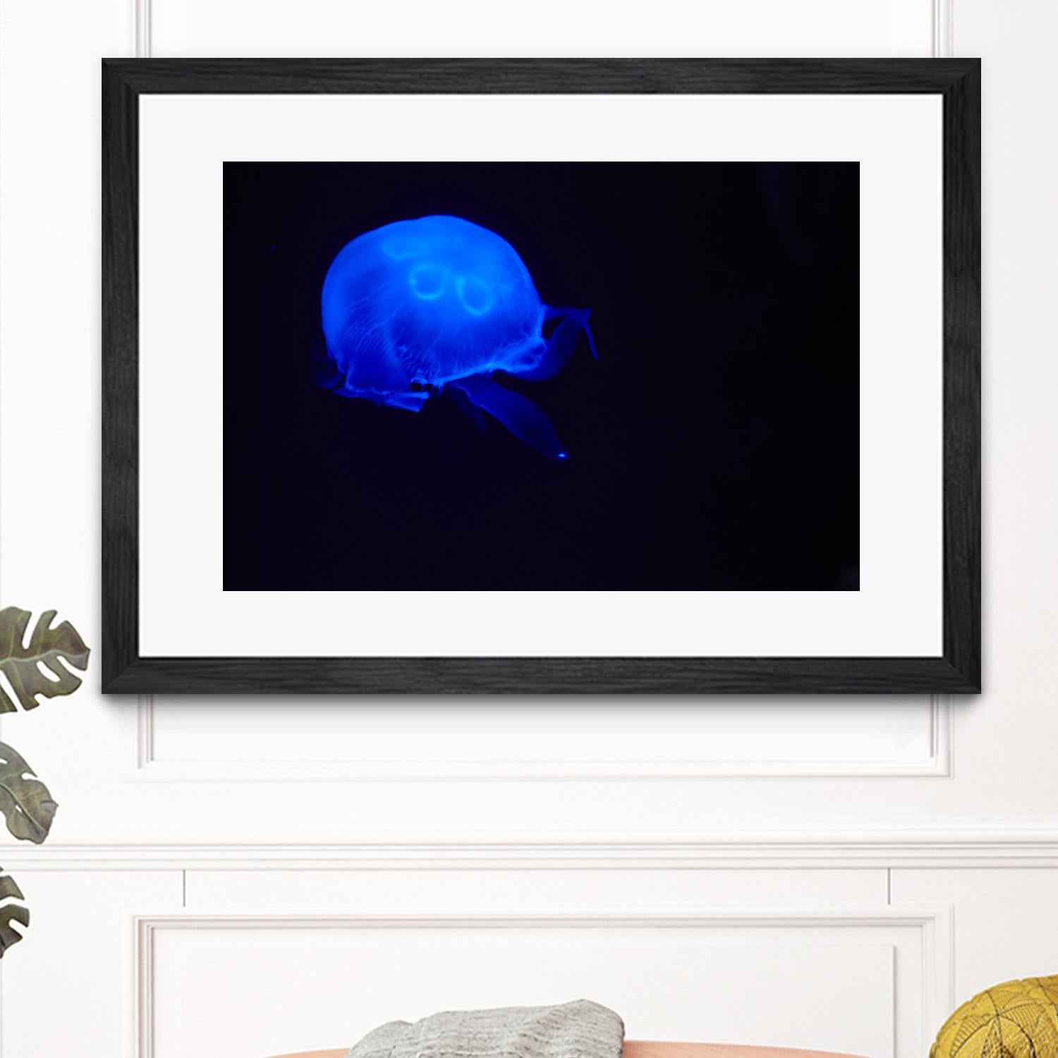 Blue and black III by Peter Morneau on GIANT ART - black photo art