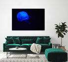 Blue and black III by Peter Morneau on GIANT ART - black photo art