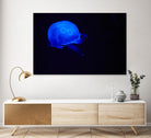 Blue and black III by Peter Morneau on GIANT ART - black photo art