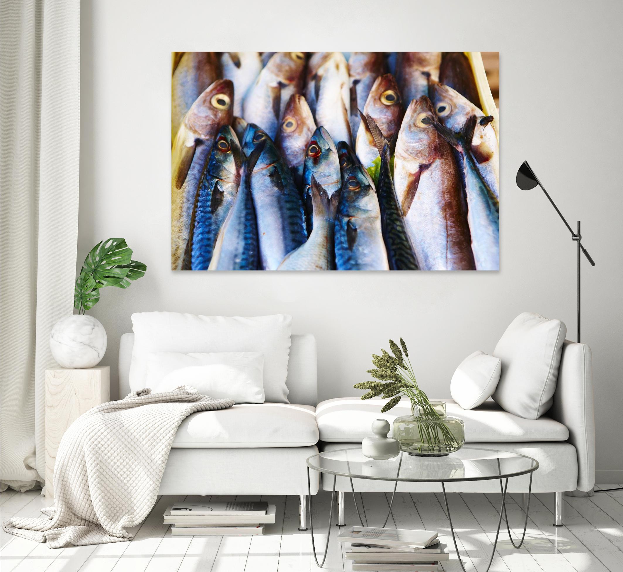 Fish V by Peter Morneau on GIANT ART - blue photography artistes du québec