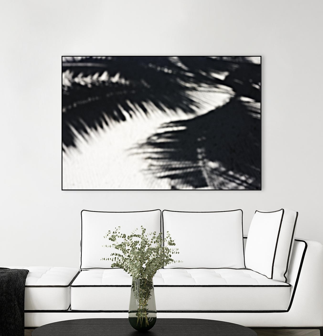 Under the shade by Peter Morneau on GIANT ART - white photo art