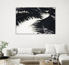 Under the shade by Peter Morneau on GIANT ART - white photo art