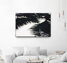 Under the shade by Peter Morneau on GIANT ART - white photo art