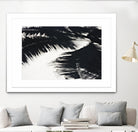 Under the shade by Peter Morneau on GIANT ART - white photo art