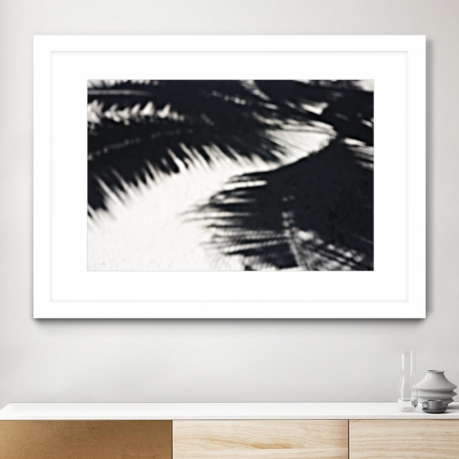 Under the shade by Peter Morneau on GIANT ART - white photo art