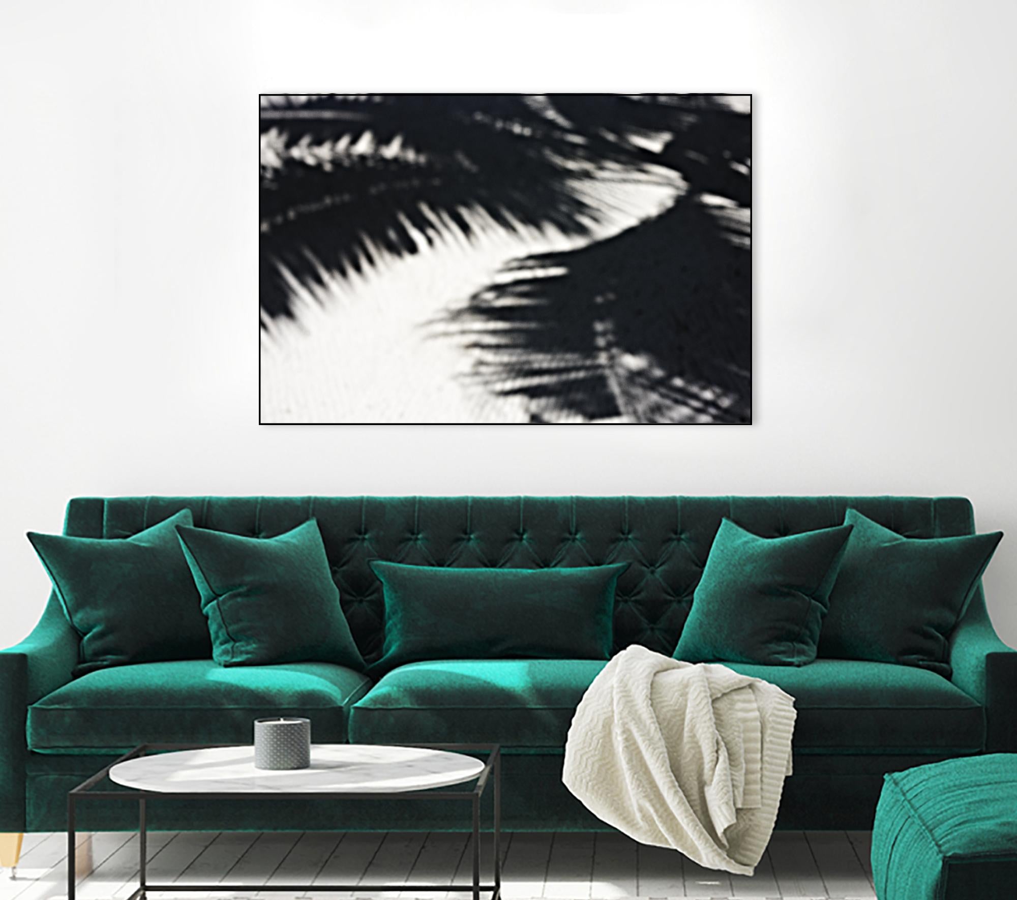 Under the shade by Peter Morneau on GIANT ART - white photo art