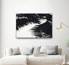 Under the shade by Peter Morneau on GIANT ART - white photo art