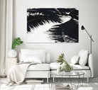 Under the shade by Peter Morneau on GIANT ART - white photo art