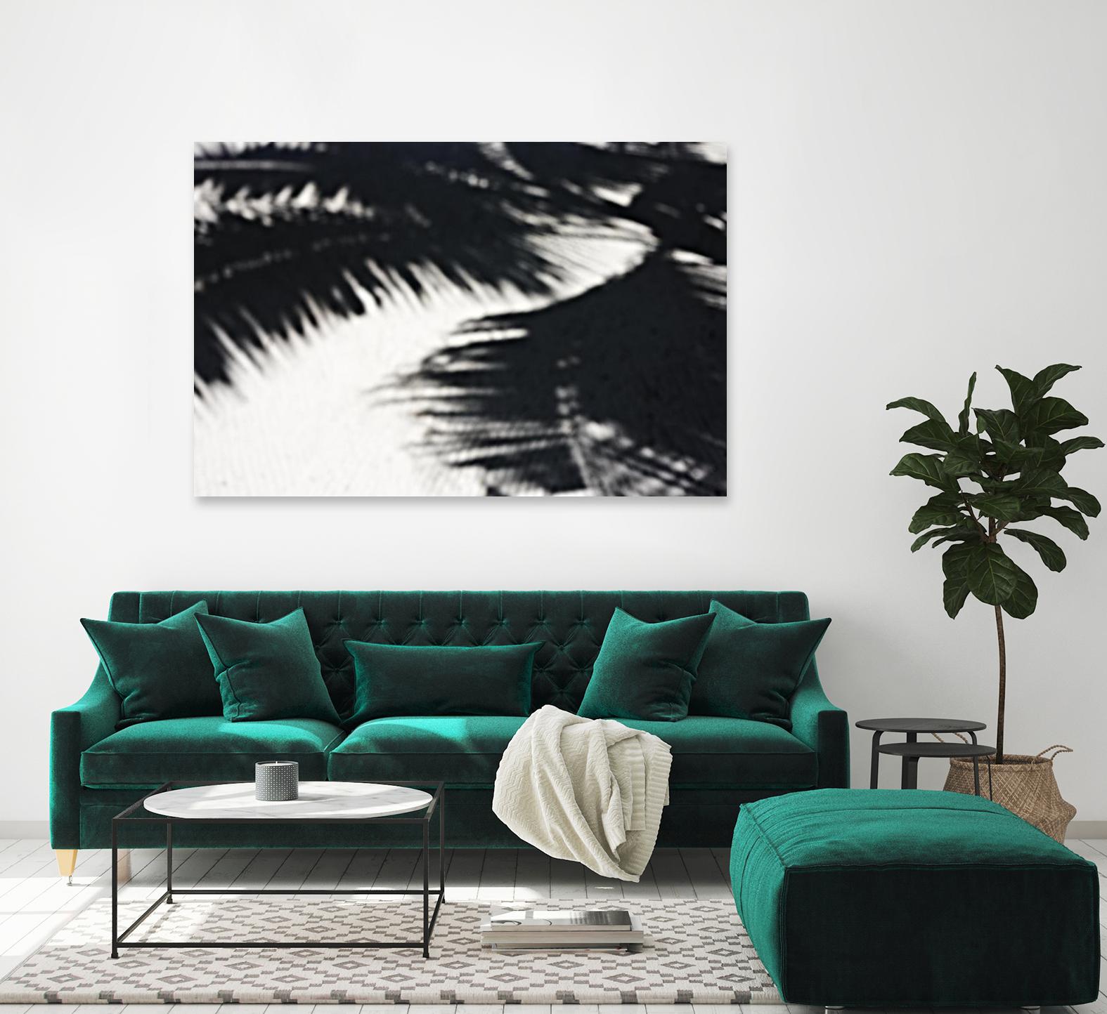 Under the shade by Peter Morneau on GIANT ART - white photo art