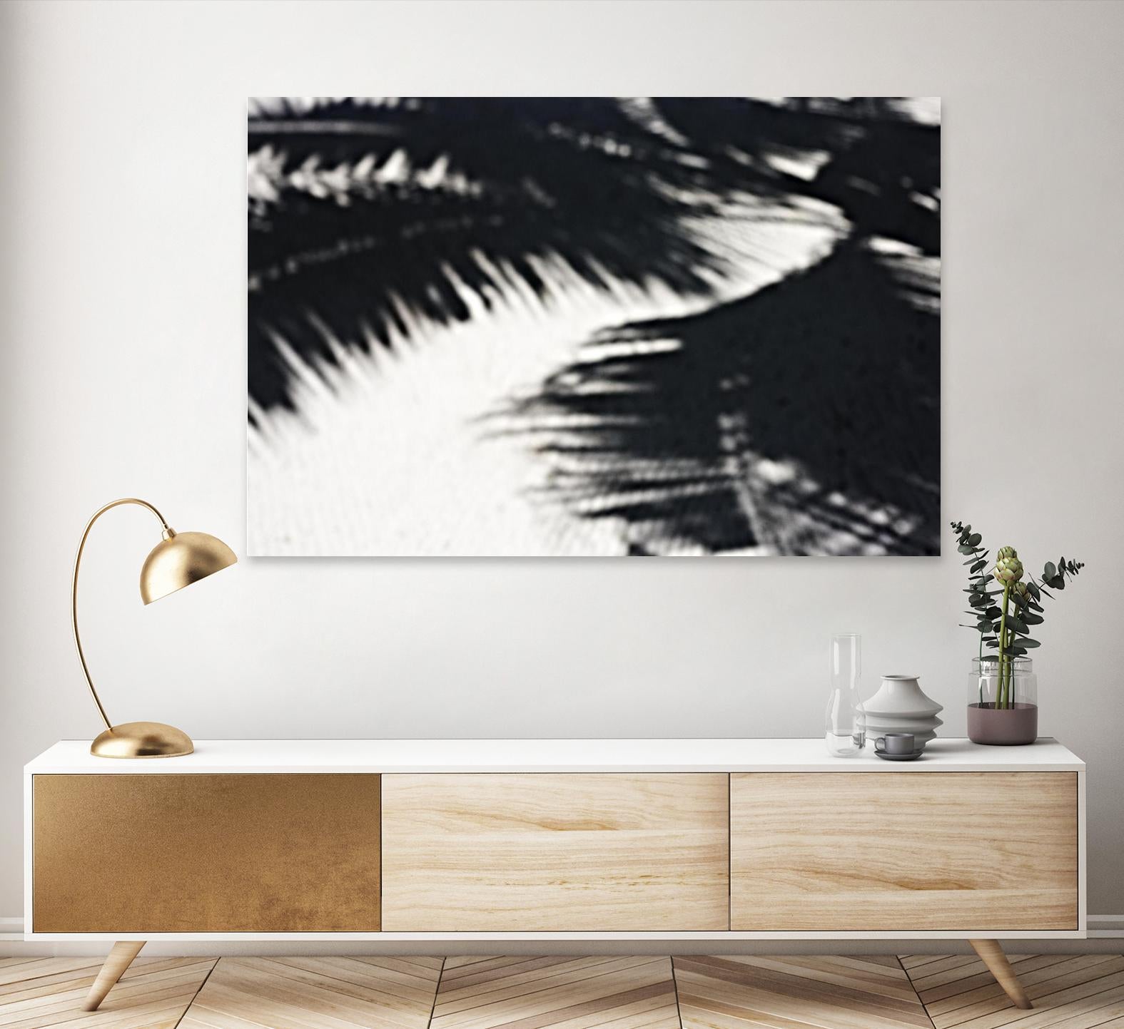 Under the shade by Peter Morneau on GIANT ART - white photo art