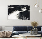 Under the shade by Peter Morneau on GIANT ART - white photo art