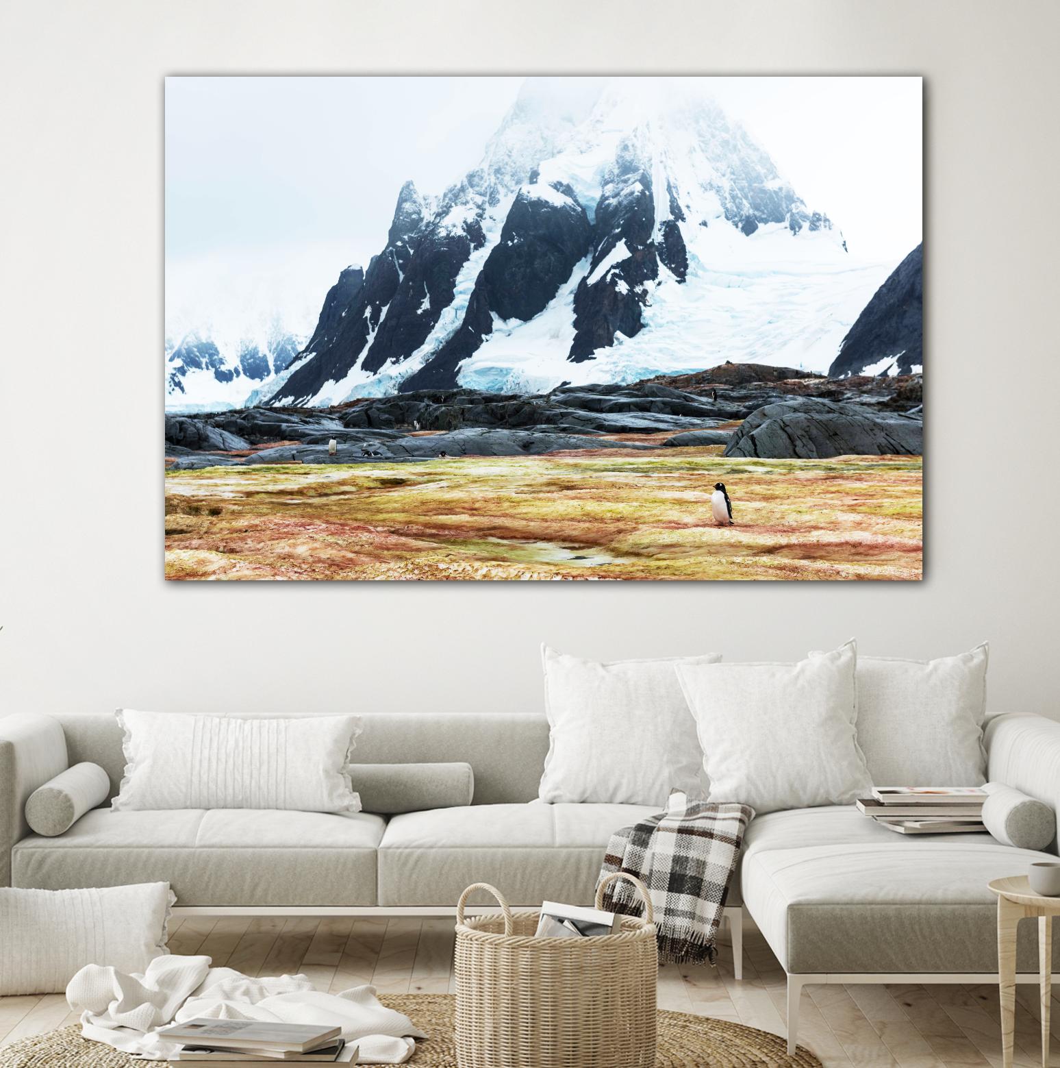 Crossing the green algae field, Antarctica by Nick Jackson on GIANT ART - white photo art