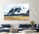 Crossing the green algae field, Antarctica by Nick Jackson on GIANT ART - white photo art