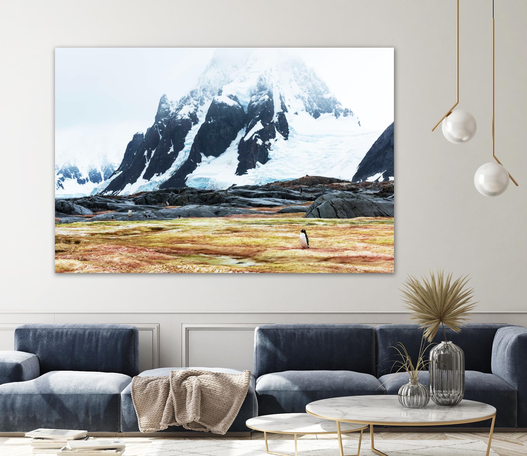 Crossing the green algae field, Antarctica by Nick Jackson on GIANT ART - white photo art