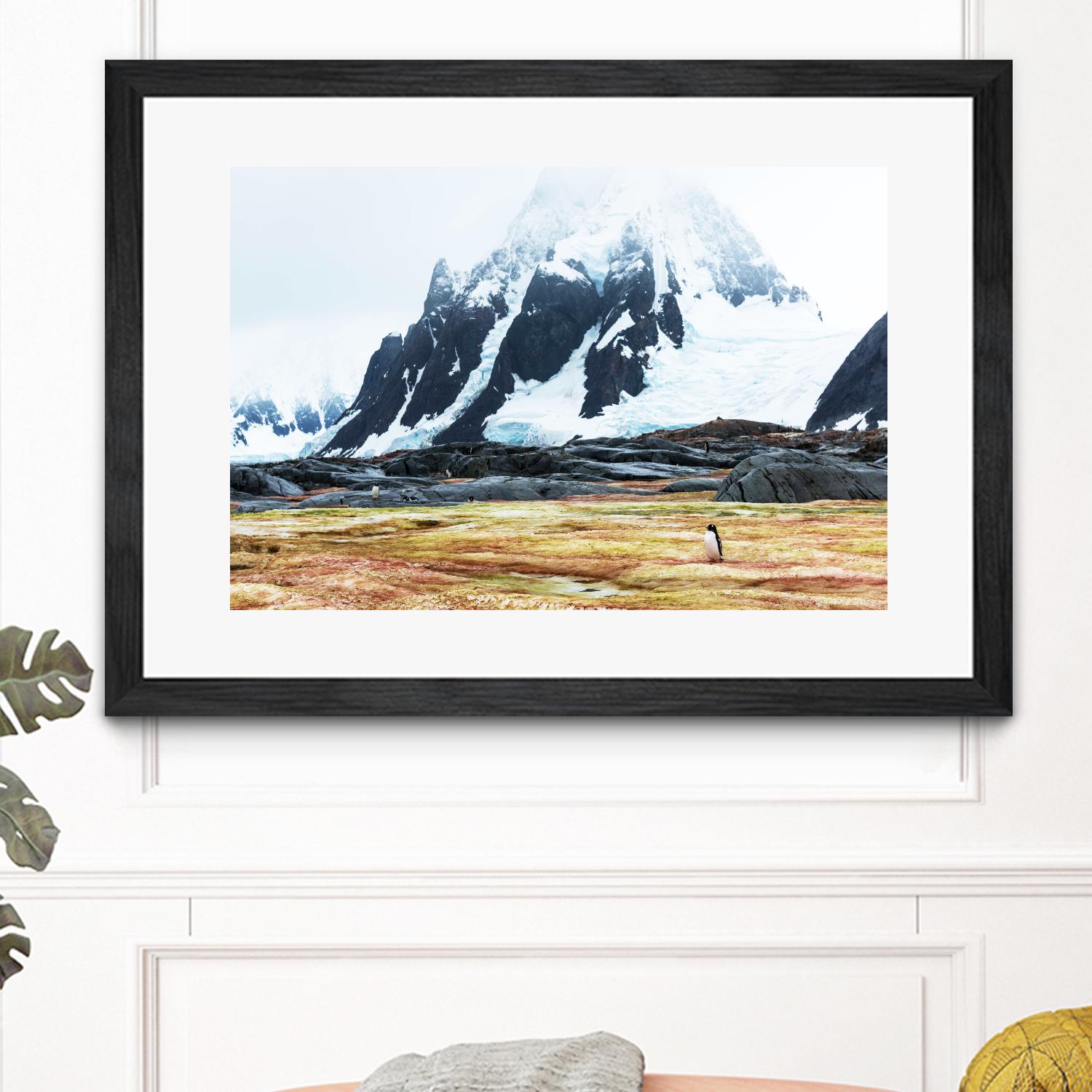 Crossing the green algae field, Antarctica by Nick Jackson on GIANT ART - white photo art