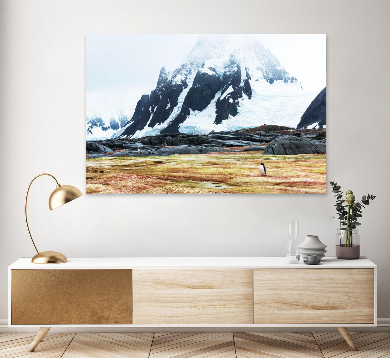 Crossing the green algae field, Antarctica by Nick Jackson on GIANT ART - white photo art