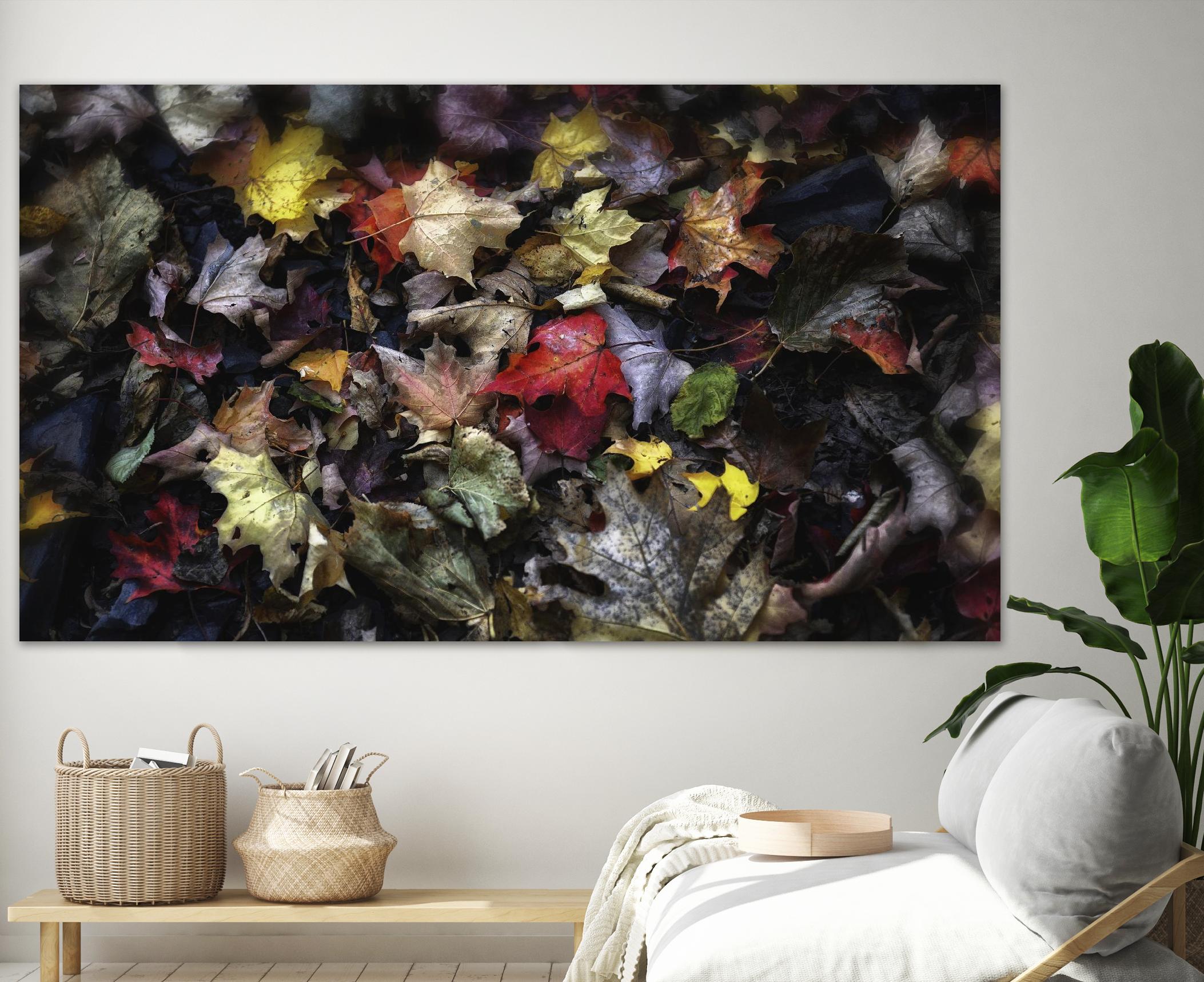 ÉrabliArt by Robert Séguin on GIANT ART - red botany