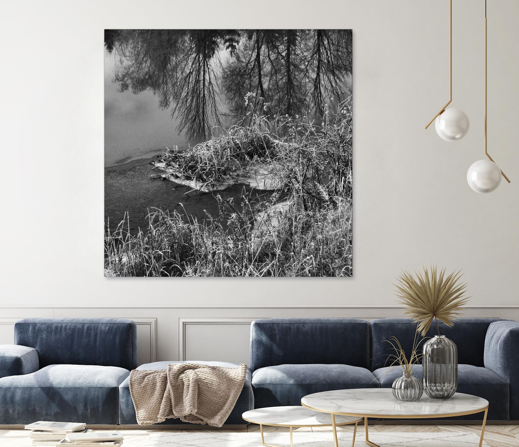 First Frost II by Jean-François Dupuis on GIANT ART - white black & white reflection
