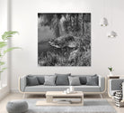 First Frost II by Jean-François Dupuis on GIANT ART - white black & white reflection