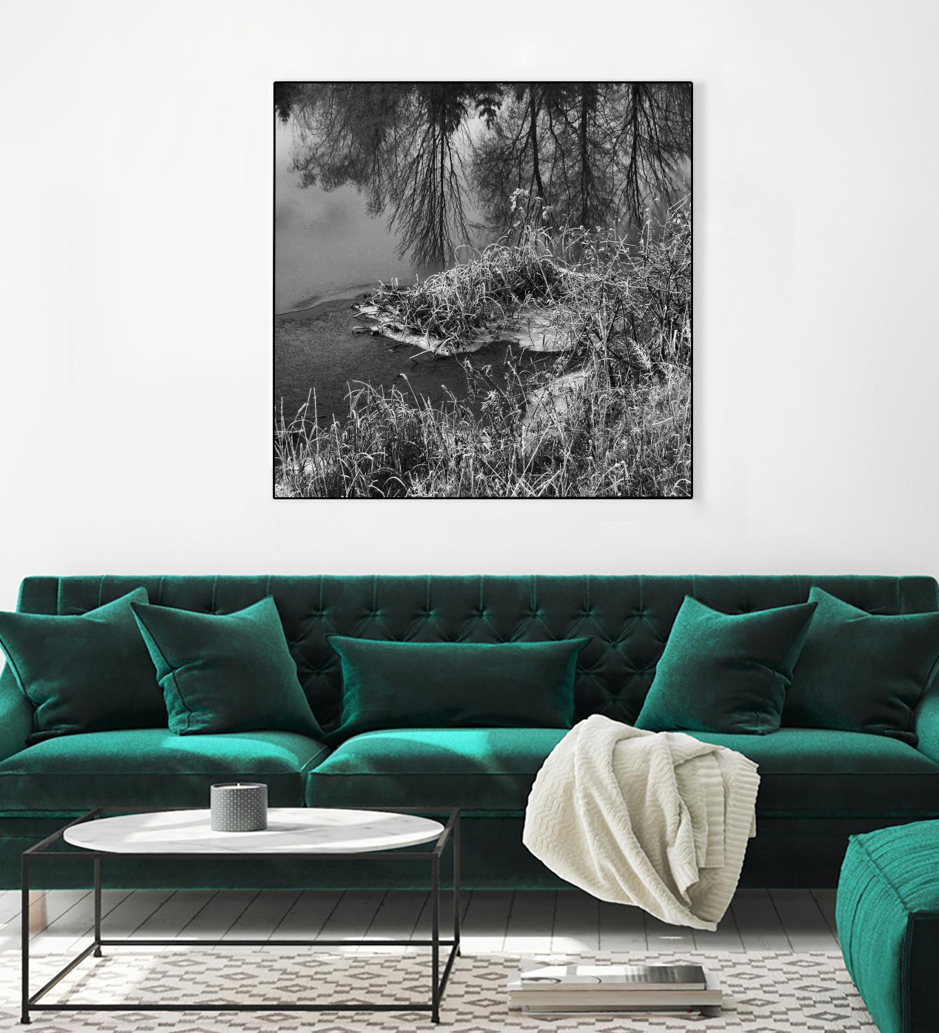 First Frost II by Jean-François Dupuis on GIANT ART - white black & white reflection