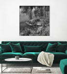First Frost II by Jean-François Dupuis on GIANT ART - white black & white reflection