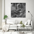 First Frost II by Jean-François Dupuis on GIANT ART - white black & white reflection