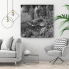 First Frost II by Jean-François Dupuis on GIANT ART - white black & white reflection