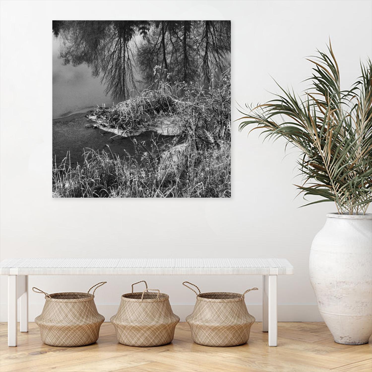 First Frost II by Jean-François Dupuis on GIANT ART - white black & white reflection