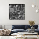 First Frost II by Jean-François Dupuis on GIANT ART - white black & white reflection