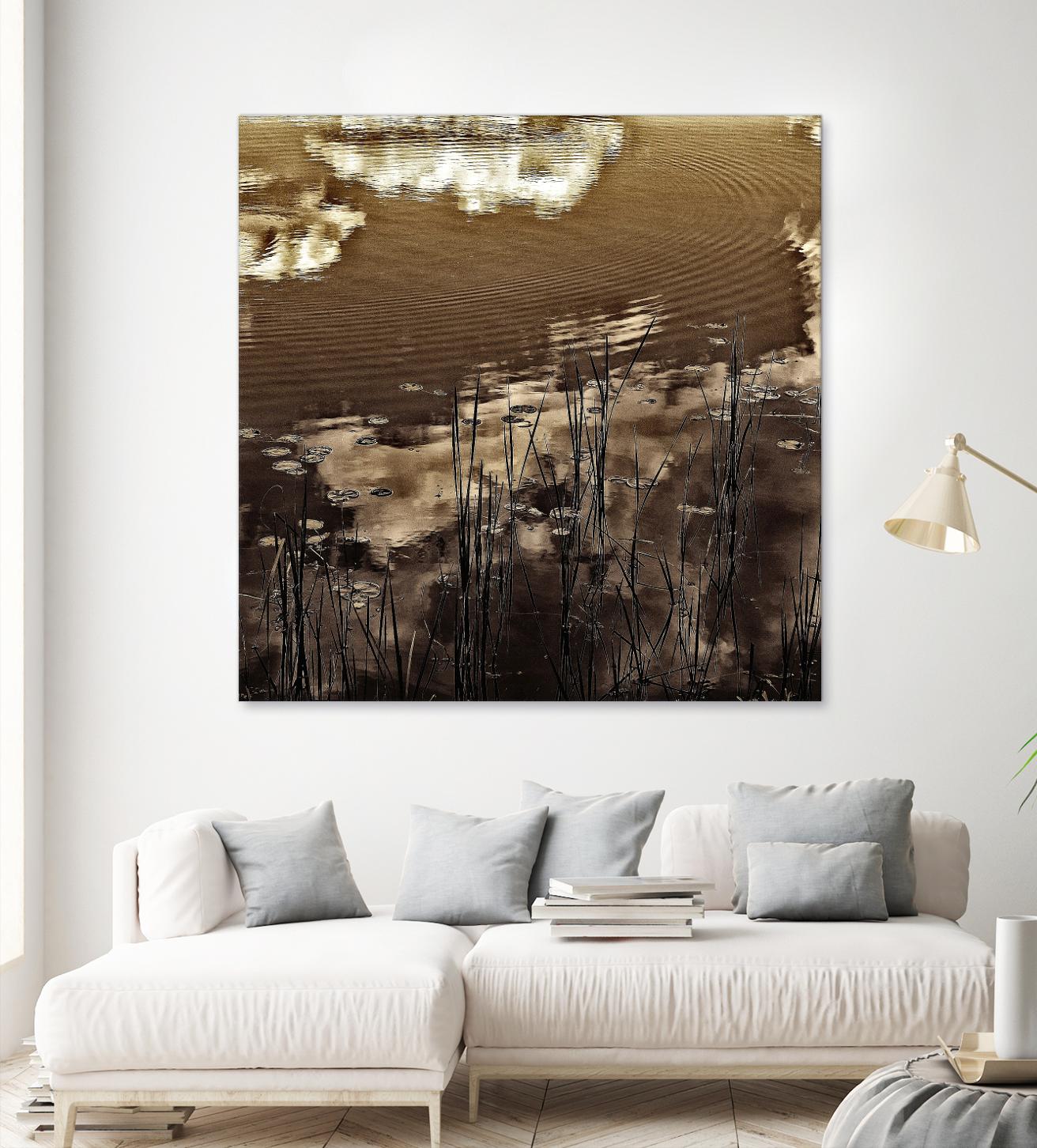 Infrared pond 11 by Jean-François Dupuis on GIANT ART - black botany marécage