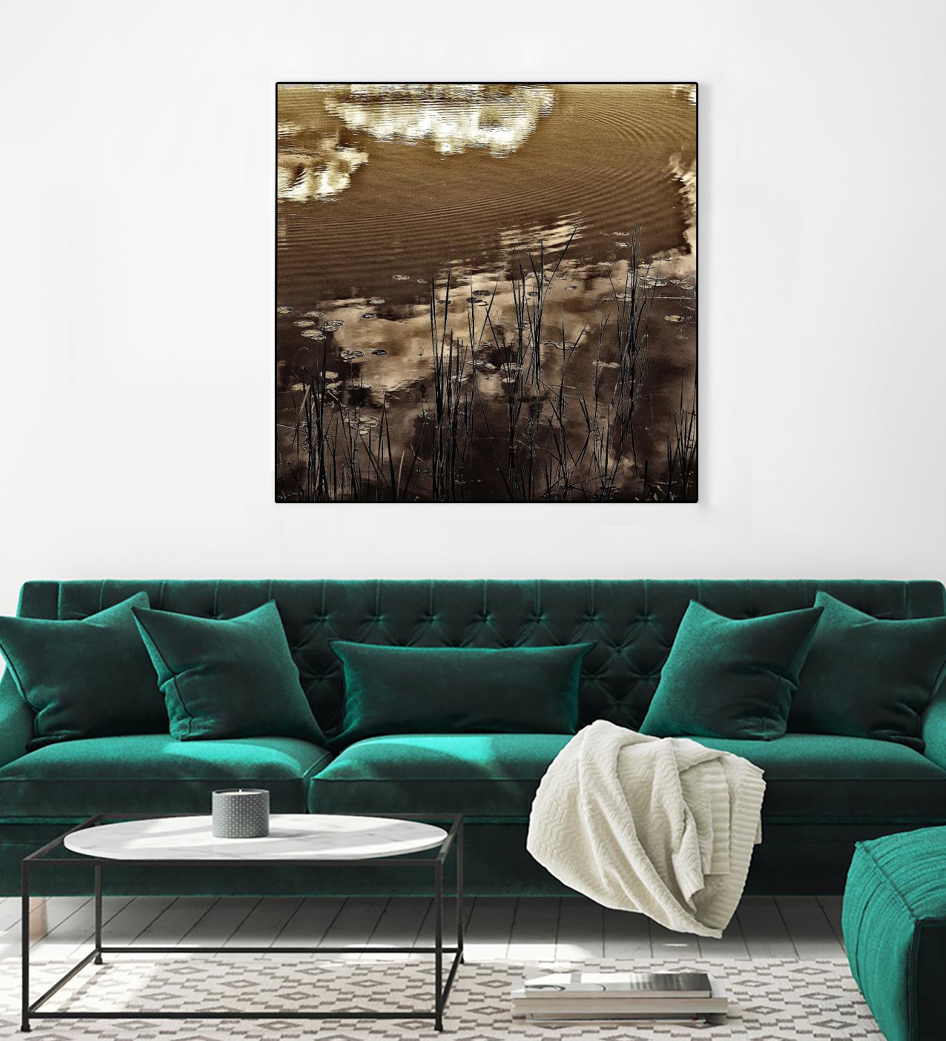 Infrared pond 11 by Jean-François Dupuis on GIANT ART - black botany marécage